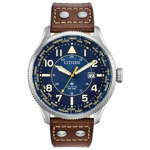 SALE! Citizen World Class Perpetual 44mm Watch
